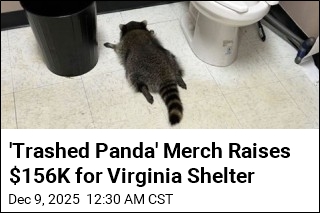&#39;Trashed Panda&#39; Merch Raises $156K for Virginia Shelter