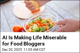 Food Bloggers Face 'Extinction Event' With AI