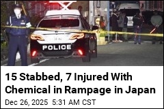 15 Stabbed, 7 Injured With Chemical in Rampage in Japan