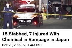 15 Stabbed, 7 Injured With Chemical in Rampage in Japan