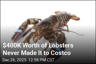 $400K Shipment of Live Lobsters for Costco Hijacked