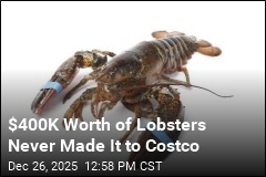$400K Shipment of Live Lobsters for Costco Hijacked