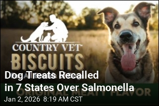 Dog Treats Recalled in 7 States