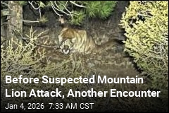 Before Suspected Mountain Lion Attack, Another Encounter