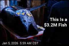 $3.2M Tuna Shatters Japan's Auction Record