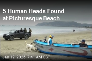 5 Human Heads Found at Picturesque Beach