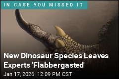 New Dino's Bizarre Hand May Have Served One Purpose