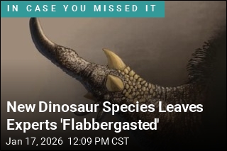 New Dino's Bizarre Hand May Have Served One Purpose