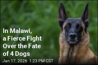 Malawi's Current, Former Presidents Fight Over 4 Dogs