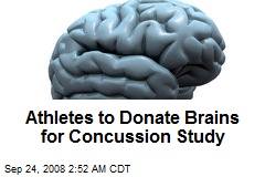 Athletes to Donate Brains for Concussion Study