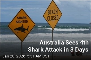 Australia Sees 4th Shark Attack in 3 Days