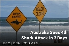 Australia Sees 4th Shark Attack in 3 Days