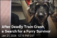 After Deadly Train Crash, a Search for a Furry Survivor
