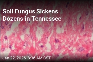 Soil Fungus Sickens Dozens in Tennessee