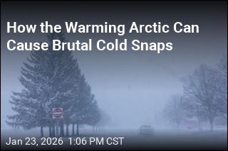 How Climate Change Can Fuel Brutal Winter Cold Snaps