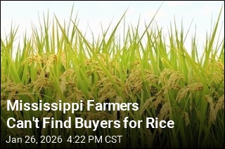 Mississippi Farmers Can't Find Buyers for Rice