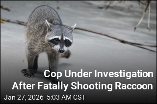 Cop Under Investigation After Fatally Shooting Raccoon