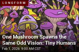 One Mushroom Sparks the Same Odd Vision: Tiny People