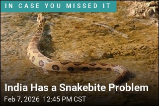 India Has a Snakebite Problem