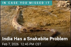 India Has a Snakebite Problem