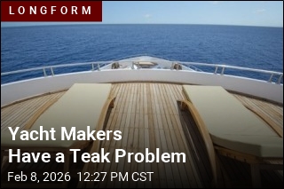 Yacht Makers Have a Teak Problem