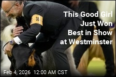 This Good Girl Just Won Best in Show at Westminster