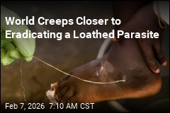 World Closer to Eradicating Jimmy Carter's Loathed Guinea Worm