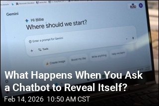 What Happens When You Ask a Chatbot to Reveal Itself?