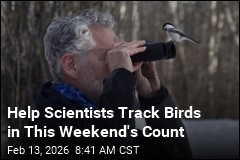 Help Scientists Track Birds in This Weekend's Count