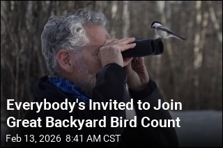 Help Scientists Track Birds in This Weekend's Count