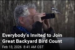 Help Scientists Track Birds in This Weekend's Count