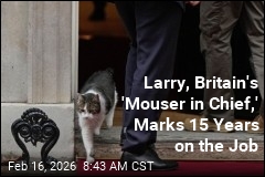 Britain's 'Mouser in Chief' Marks 15 Years on the Job