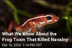 What We Know About the Frog Toxin That Killed Navalny