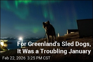 How Climate Change Wreaks Havoc on Sled Dog Life