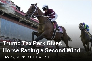 Trump Tax Perk Gives Horse Racing a Second Wind