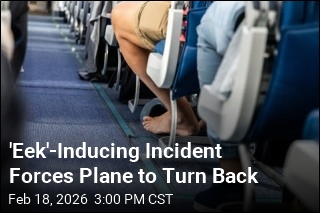 Mouse Sighting Forces Flight to Turn Back