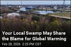Global Warming Has a New Big Driver: the World's Swamps