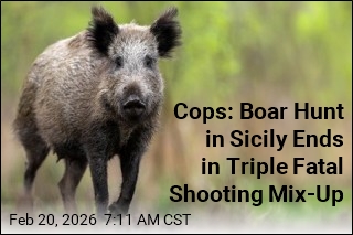 Cops: Boar Hunt in Sicily Ends in Triple Fatal Shooting Mix-Up
