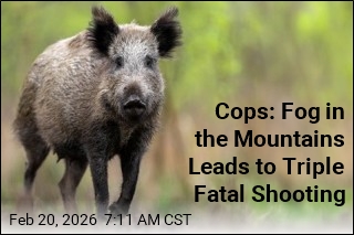 Cops: Boar Hunt in Sicily Ends in Triple Fatal Shooting Mix-Up