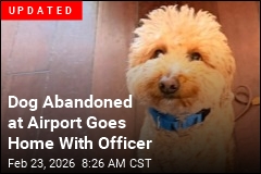 Cops: Woman Abandoned Dog at Airport Ticket Counter