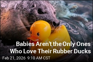 Babies Aren't the Only Ones Who Love Their Rubber Ducks