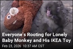 Everyone's Rooting for Lonely Baby Monkey and His IKEA Toy