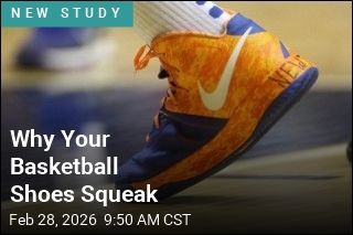 Why Your Basketball Shoes Squeak