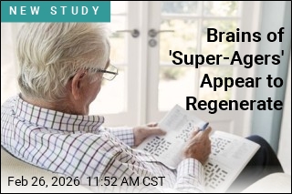 Brain Appears to Regenerate in 'Super-Agers'