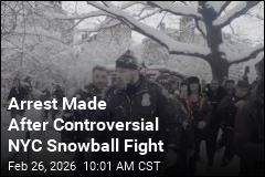 Arrest Made After NYPD Officers Hit With Snowballs