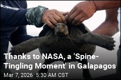 Thanks to NASA, a 'Spine- Tingling Moment' in Galapagos