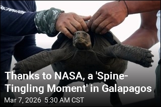 Thanks to NASA, a 'Spine- Tingling Moment' in Galapagos