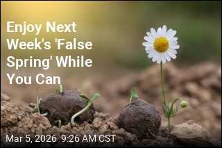 'False Spring' May Bring Record Warmth, but It Likely Won't Last