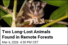 Two Long-Lost Animals Found in Remote Forests