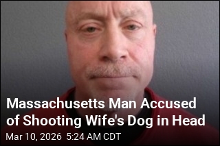Massachusetts Man Accused of Shooting Wife's Dog in Head